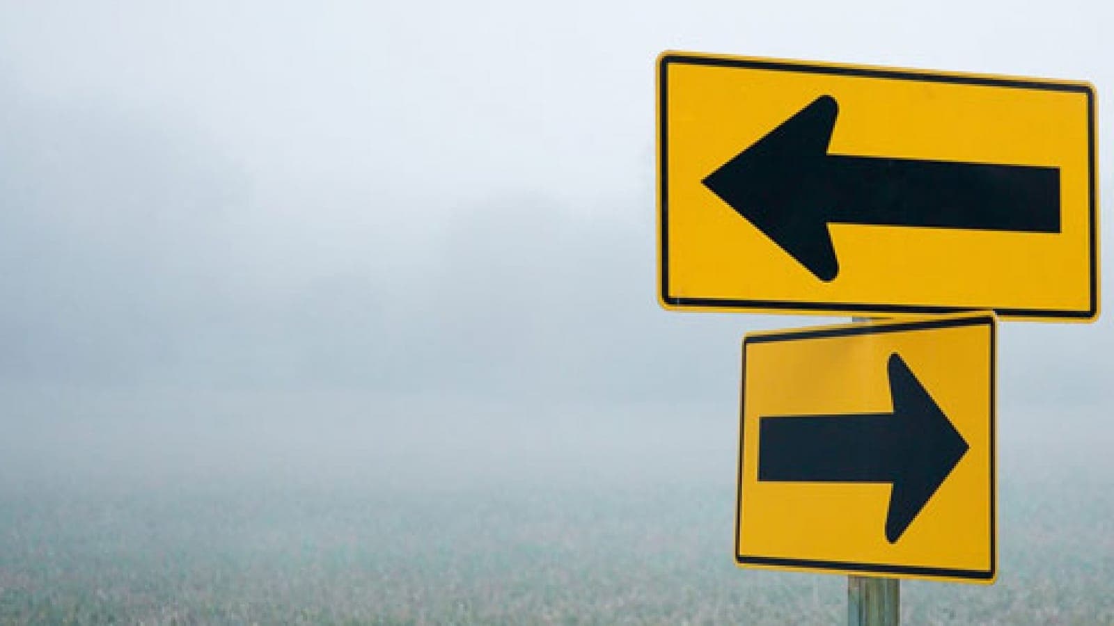 Two arrows pointing in different directions, representing an IT model decision