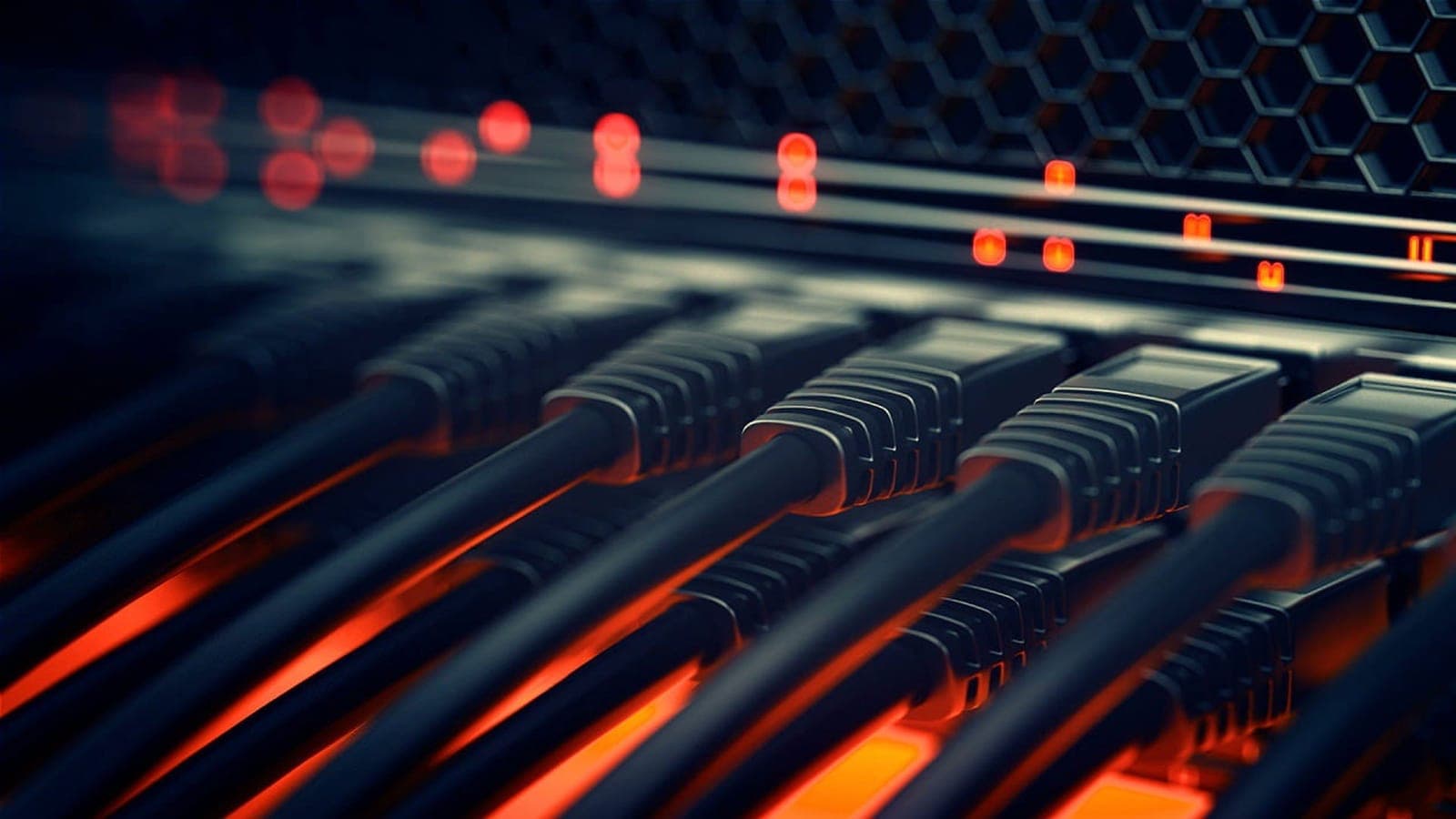 Dense bundle of network cables, representing infrastructure complexity